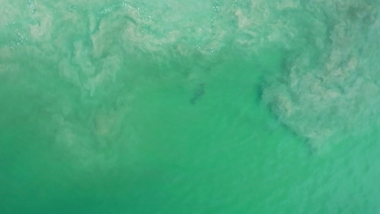 Overhead view of green ocean water and pale reef texture in Los Cabos, Mexico, with no visible people.