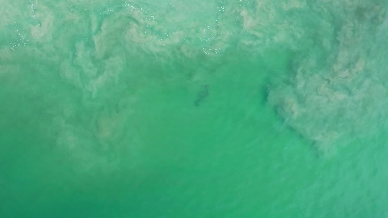 Green ocean surface seen from above in Los Cabos, Mexico, with pale foam tracing submerged reef and no visible people.