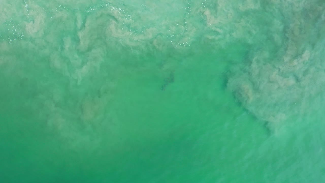 Aerial view of reef under green water
