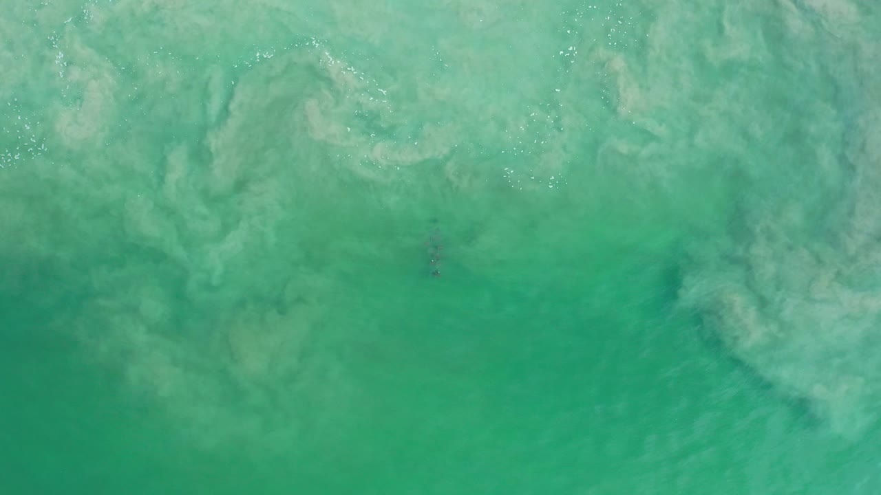 Overhead turquoise water with cloudy pale patches and faint surface glints.