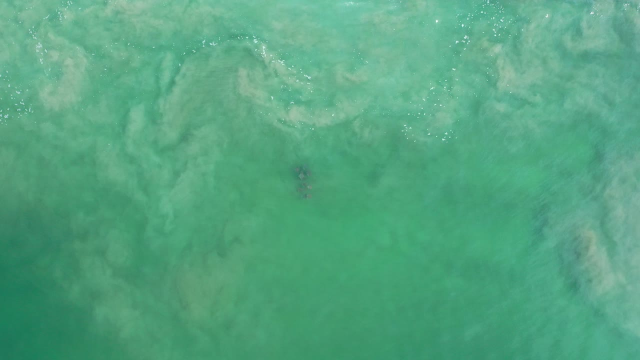 Overhead view of green sea water in Los Cabos, Mexico, with cloudy pale sand patterns below the surface and no visible people.