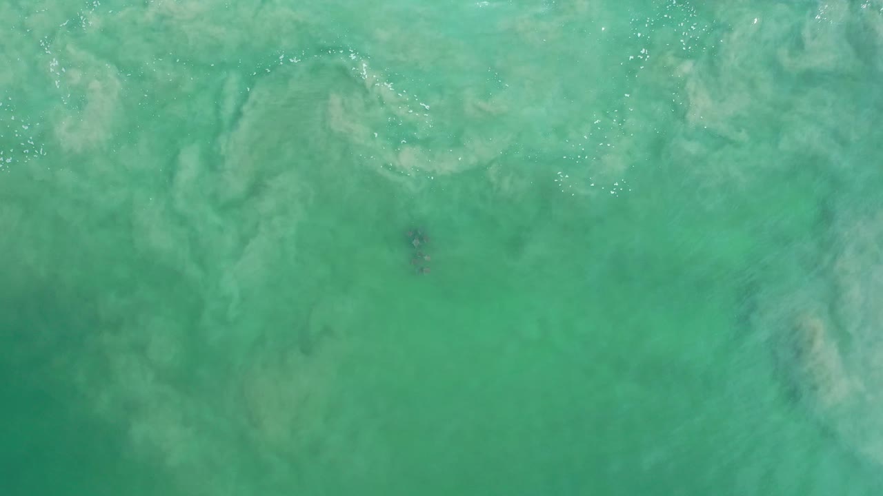 Green sea water in Los Cabos, Mexico, fills the frame with a small darker patch beneath the surface and no visible people.