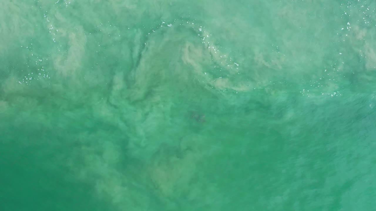 Overhead Los Cabos sea surface with green-blue water, cloudy sand trails, light ripples, and no visible people.