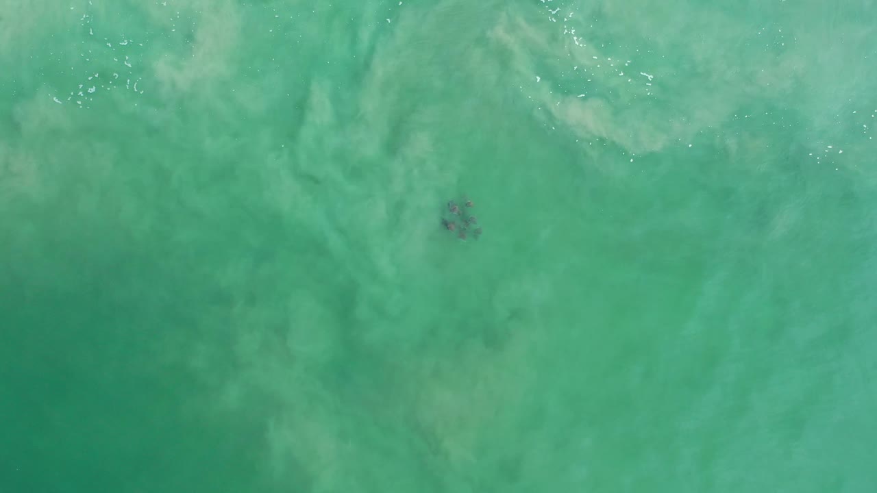 At 0:01, the fish cluster remains visible below rippled green ocean water in Los Cabos, Mexico, with brighter surface flecks near the upper frame and no visible people.