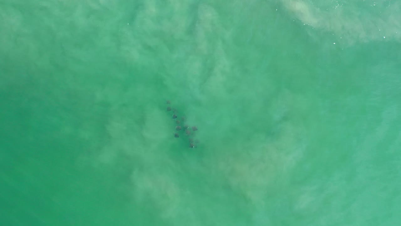 Overhead Los Cabos water view with cloudy green-turquoise surface texture, a small dark cluster left of center, and no visible people.