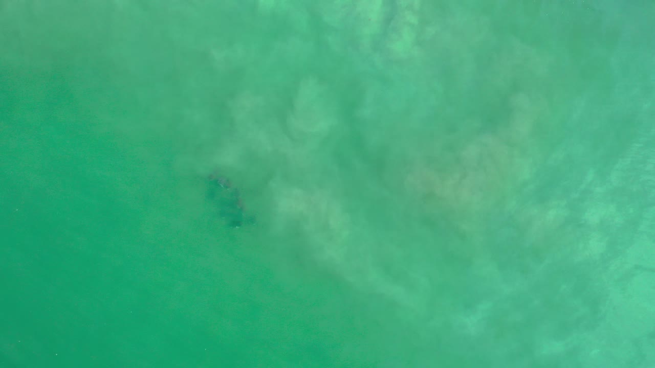 Top-down view of hazy green shallow water in Los Cabos, Mexico, with pale silt suspended across the frame and no visible people.