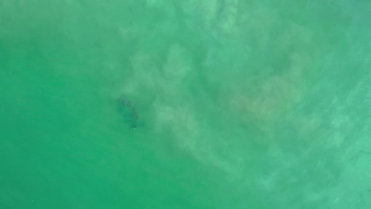 Aquamarine shallows in Los Cabos, Mexico, fill the frame with cloudy silt spread more heavily near the upper edge and no visible people.