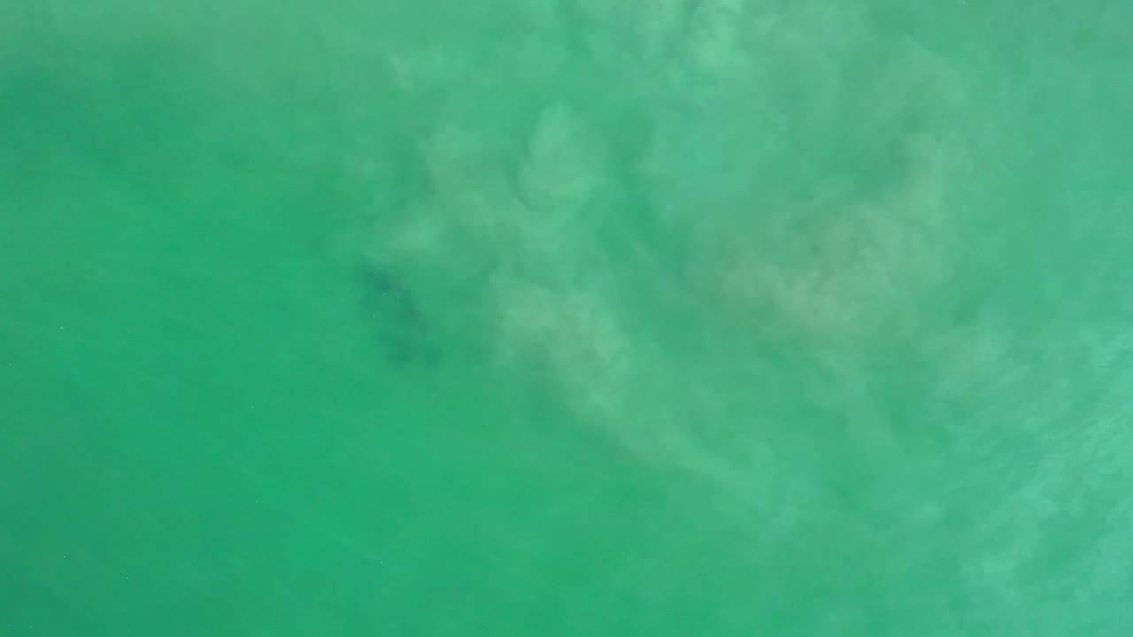 Green ocean surface with faint dark submerged patches.
