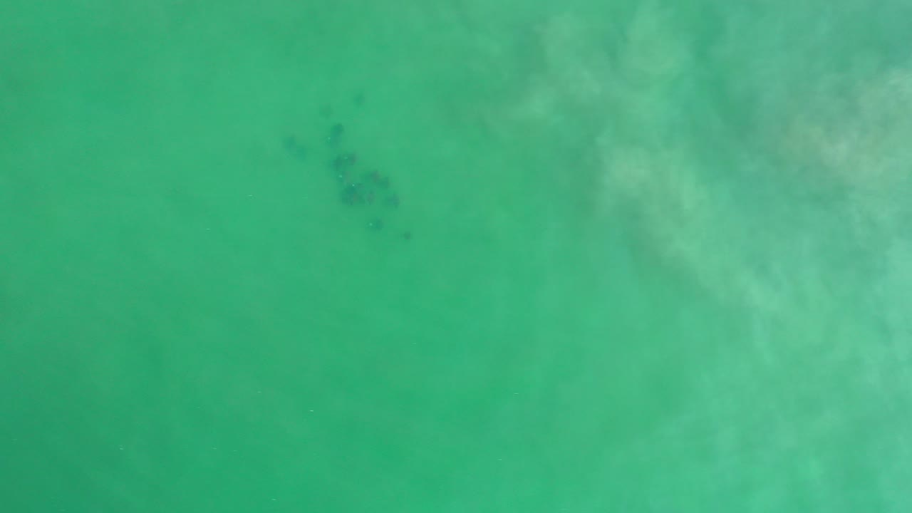 Overhead view of green water in Los Cabos, Mexico with faint pale surface patterns, a few small dark submerged patches near the upper area, and no visible people.