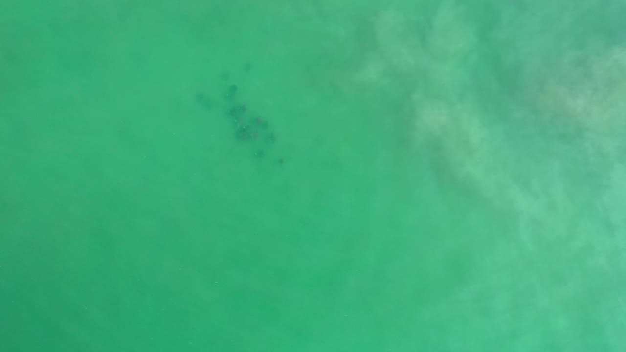 Bird's-eye frame over green Los Cabos water with cloudy pale streaks crossing the center and small dark shapes visible beneath the surface, with no visible people.