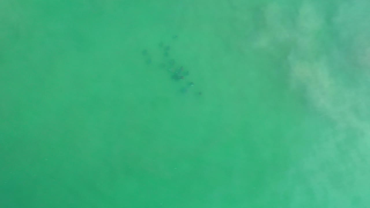 Aerial green water with a cluster of dark underwater marks near the upper left.