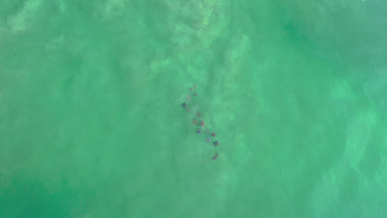 Overhead green sea water with faint ripples