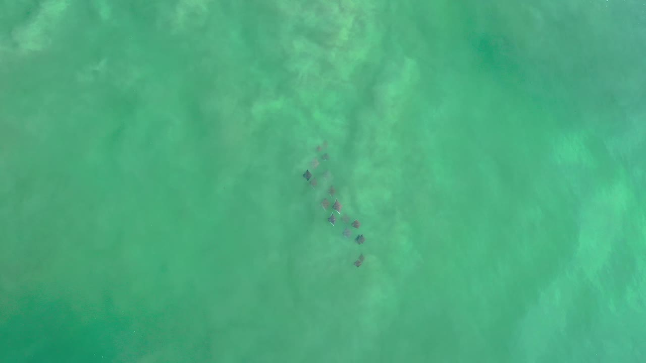 Green ocean water seen from above in Los Cabos, Mexico, with small darker patches below the surface and no visible people.