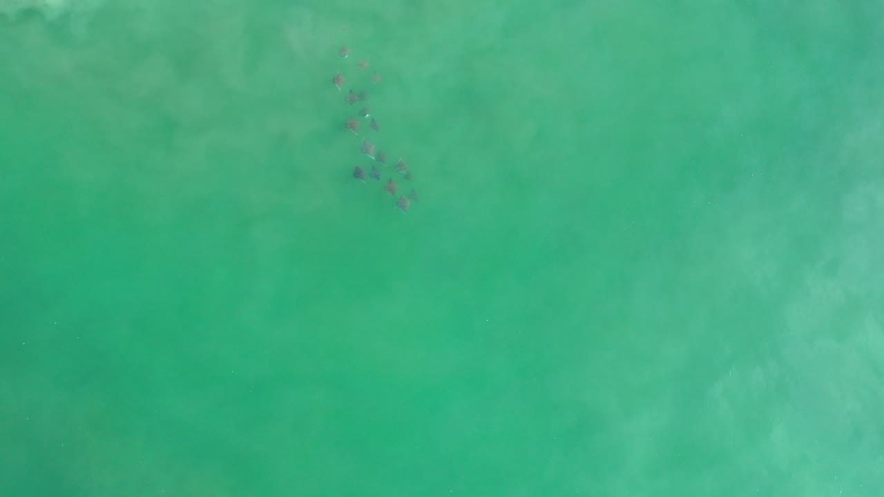 Overhead frame of greenish blue water in Los Cabos, Mexico, with a small dark sediment trail near the upper left and no visible people.