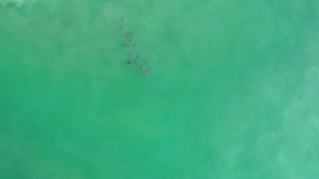 Aerial Los Cabos water frame with greenish blue color, soft underwater haze, a narrow dark particle cluster near the top center, and no visible people.