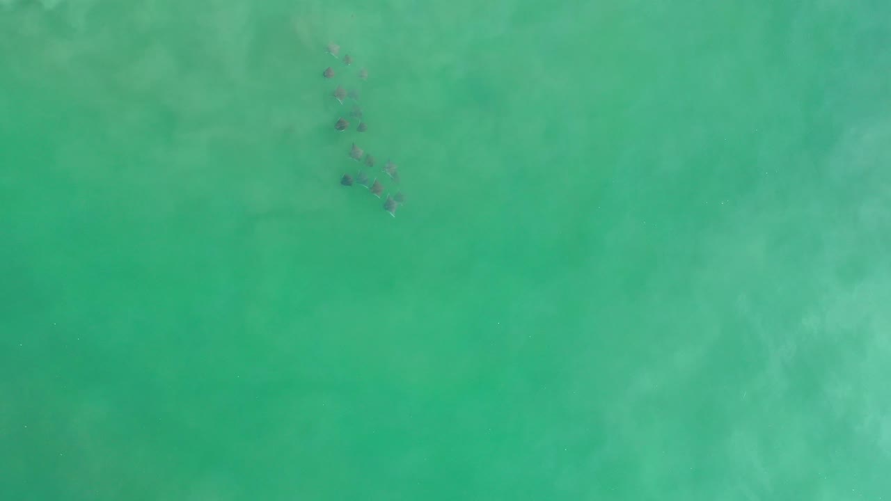 Aerial green water with a darker sediment streak near the upper right.