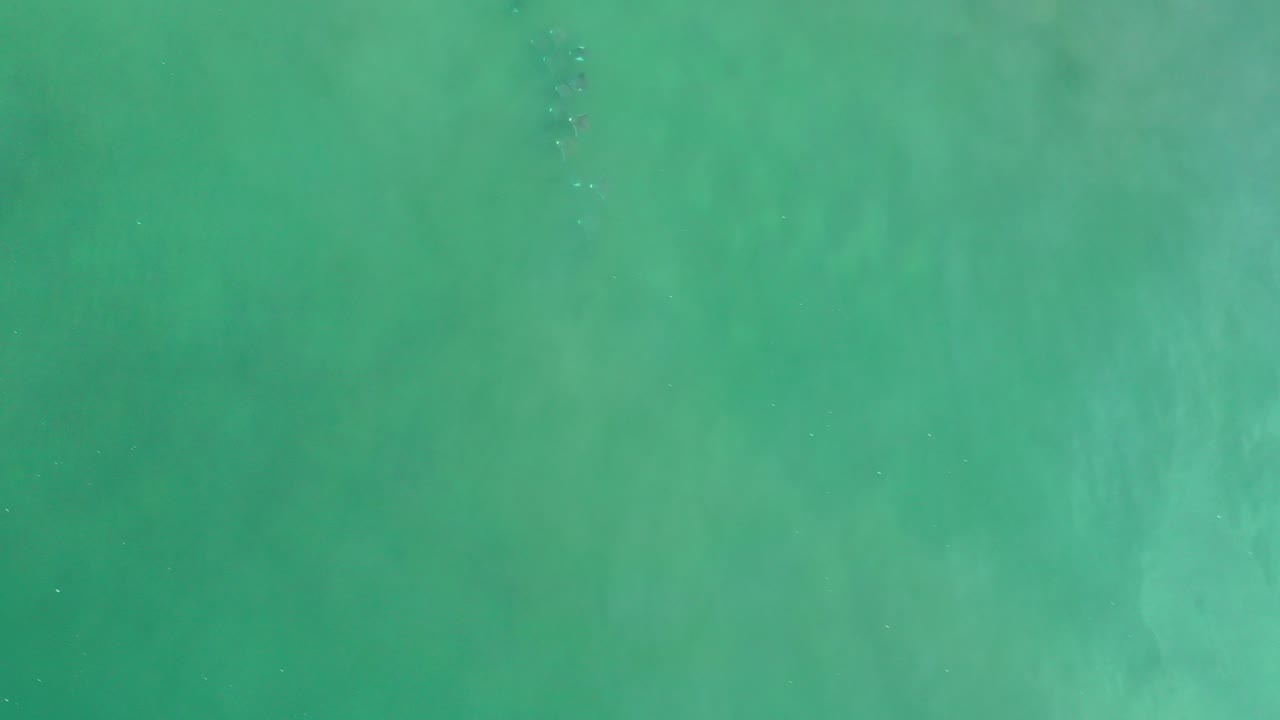 Overhead green ocean water with faint darker patches.
