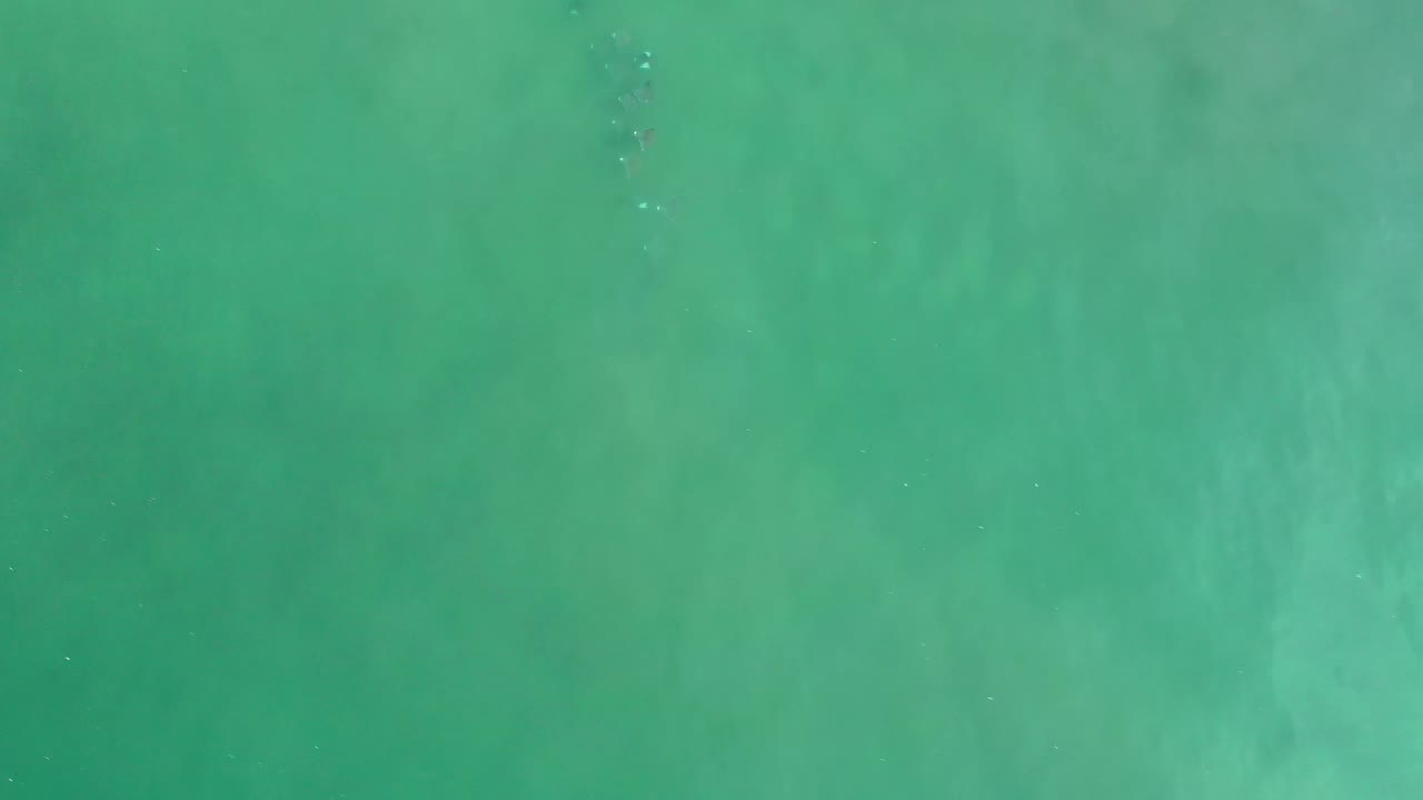 Aerial-looking frame of green sea surface in Los Cabos, Mexico, with subtle mottled color changes and no visible people.