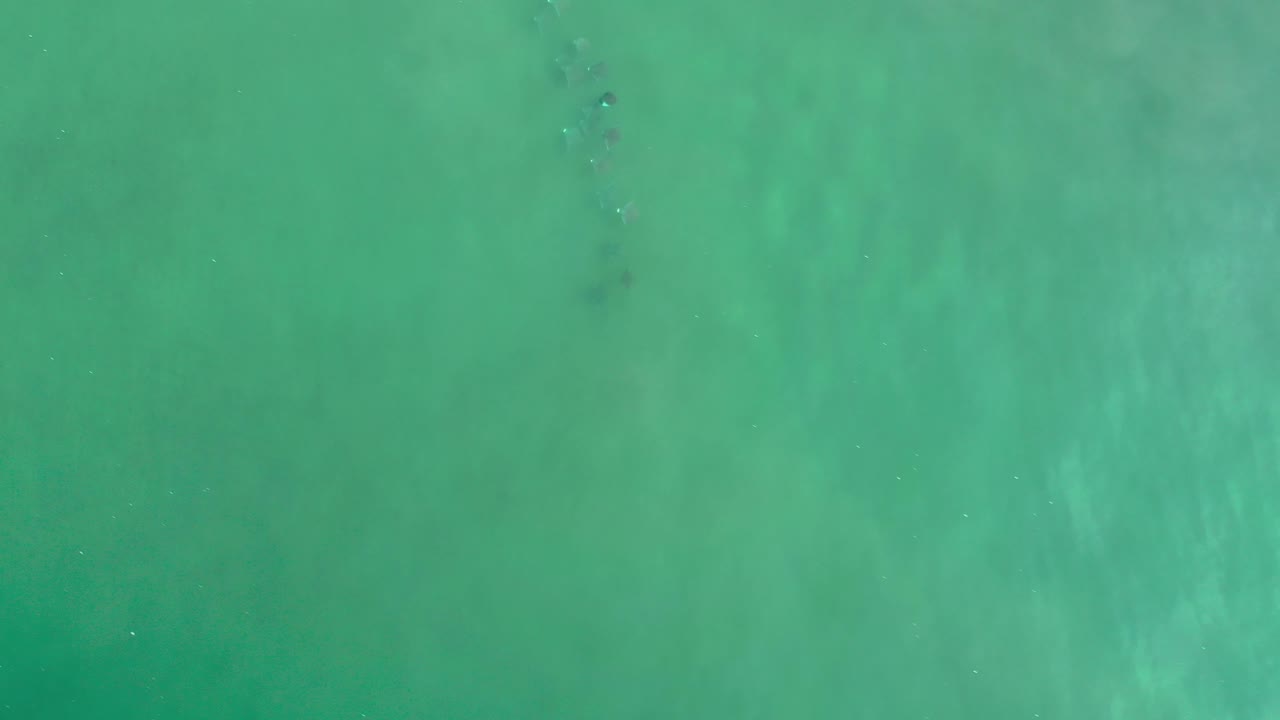 Top-down green water with faint vertical streaks.