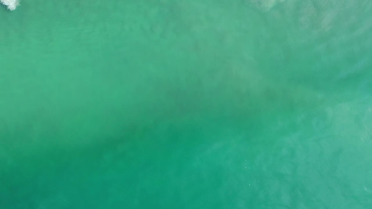 Overhead Los Cabos ocean frame with translucent green water and a small white wave break along the top border, with no visible people.