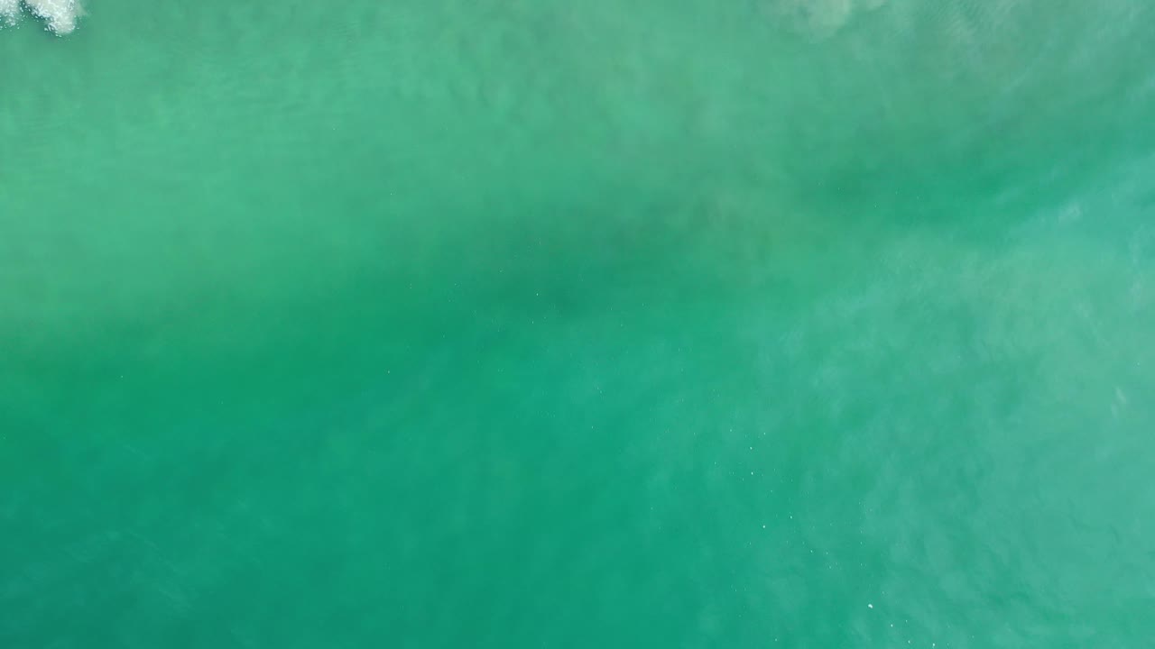 Turquoise green water with a soft white wave crest near the top right.