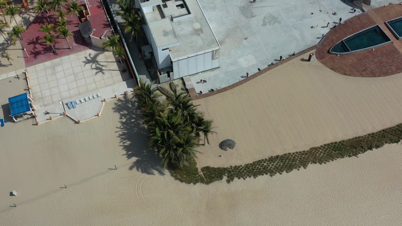 Aerial Los Cabos frame with beach sand across the lower half, palms casting shadows, a white rooftop, a red paved pool deck, and tiny distant people.