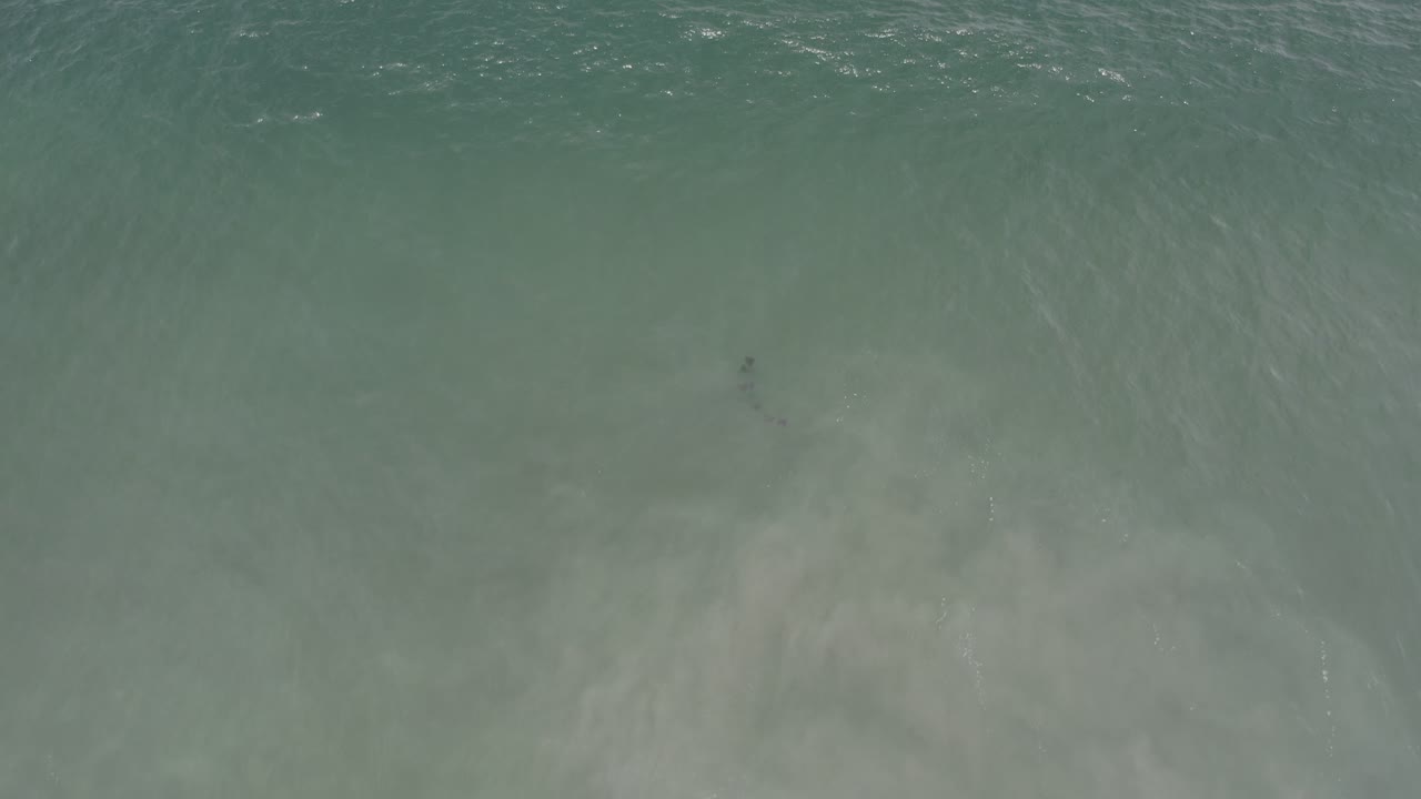 A wider patch of pale foam clouds the shallow Los Cabos water over sand, with no visible people or structures.