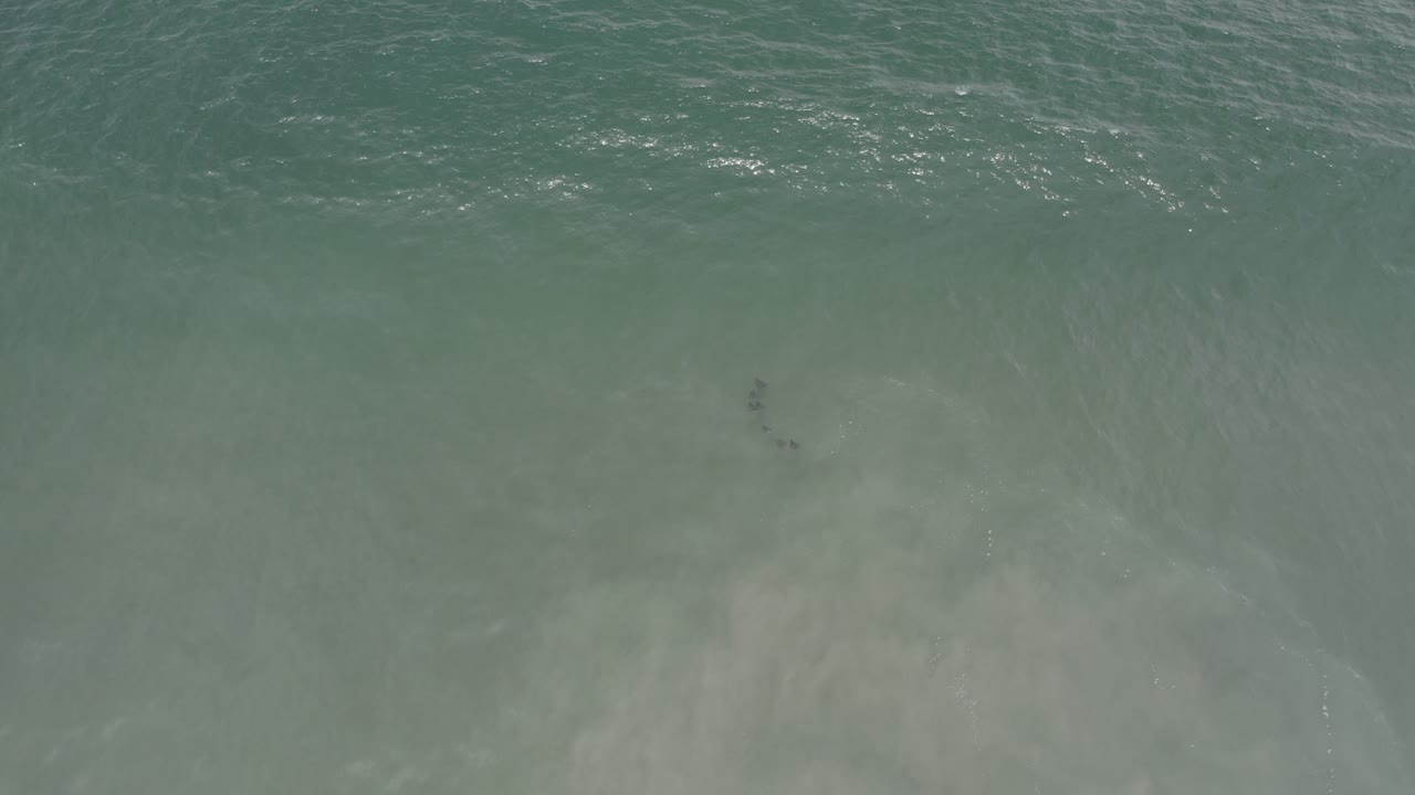 Thin foam patterns over clear green shoreline water.