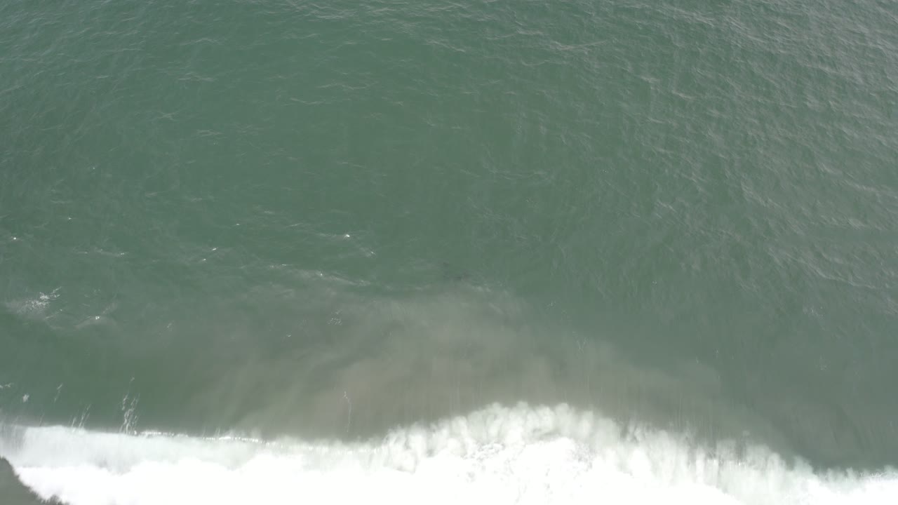 Overhead blue-green ocean water with white surf at the bottom edge.