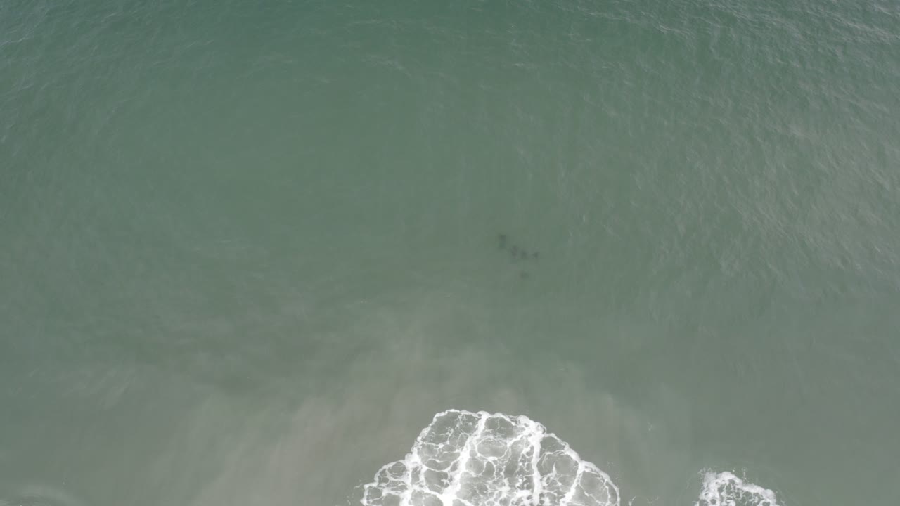 Overhead view of green-gray ocean water in Los Cabos, Mexico, with a rounded patch of white sea foam entering from the bottom and no visible people.