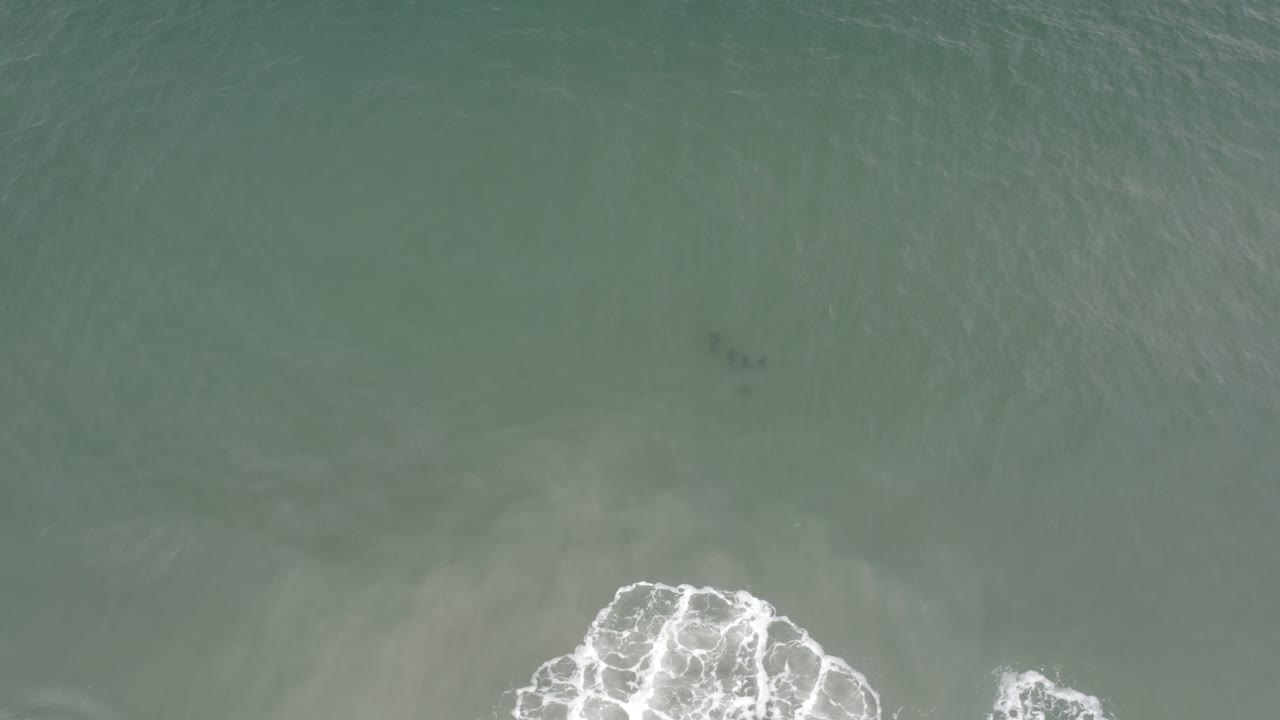 Aerial Los Cabos ocean surface with muted green water and a white foamy wave break sitting low in the composition, with no visible people.