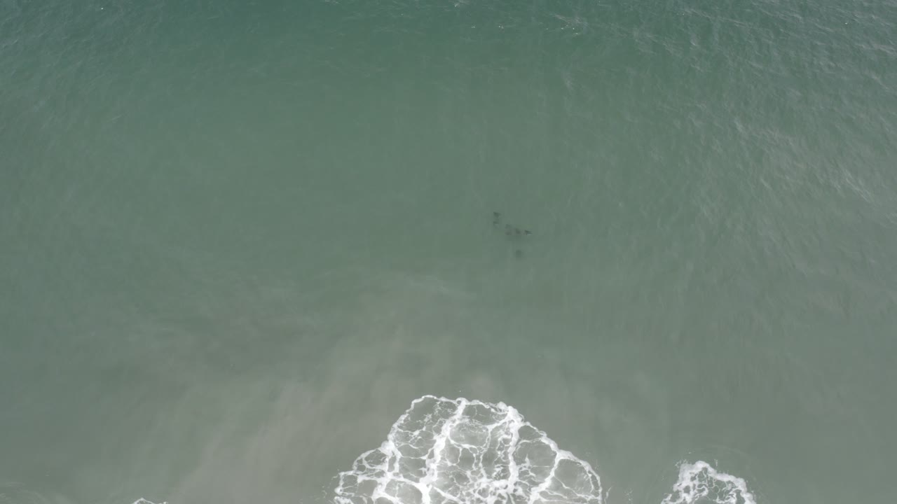 Green ocean from above with bright foam patches along the bottom.