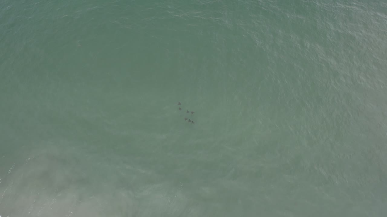 Aerial ocean water with small dark floating specks near the upper center.