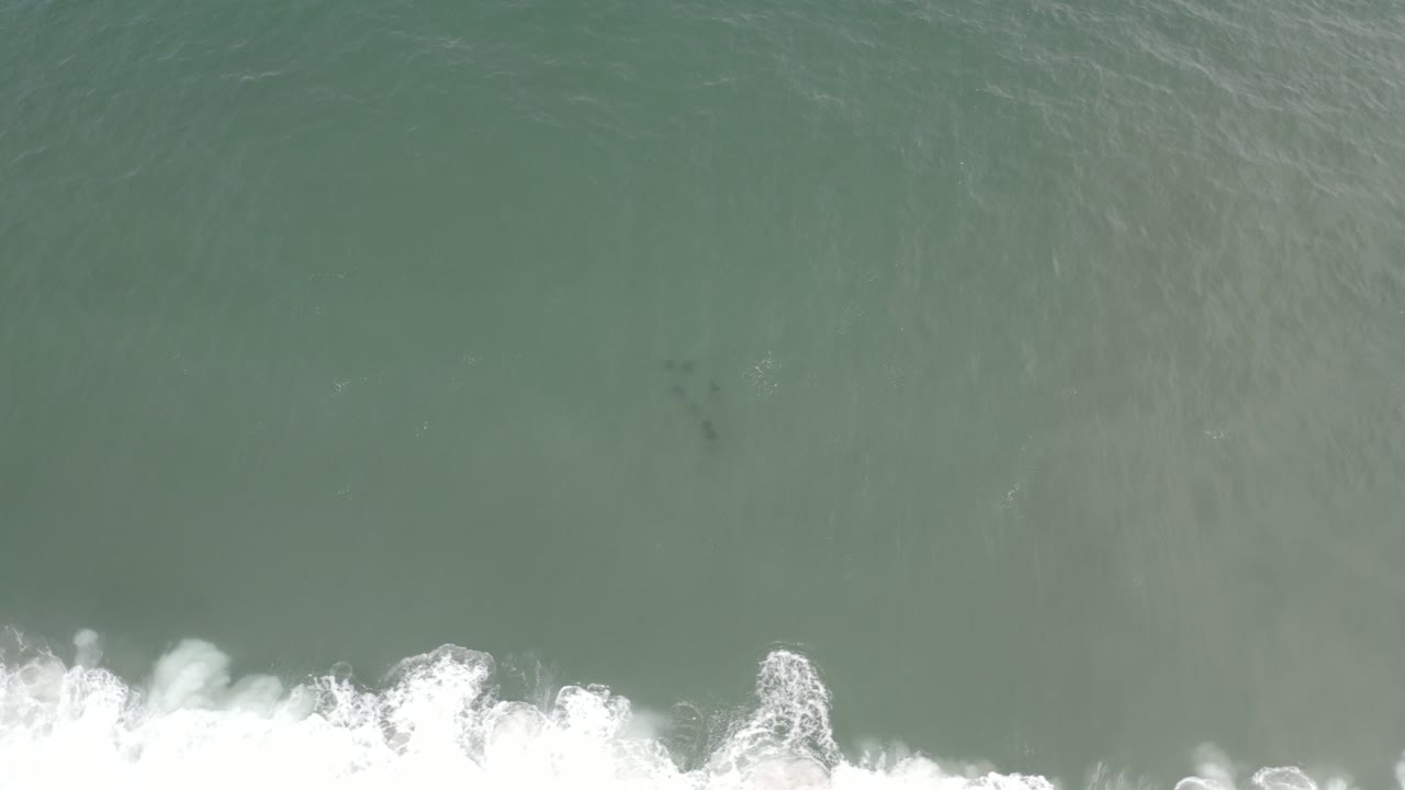 Overhead view in Los Cabos, Mexico, showing pale green shoreline water, white surf at the bottom edge, and faint dark shark shapes below the surface with no visible people.