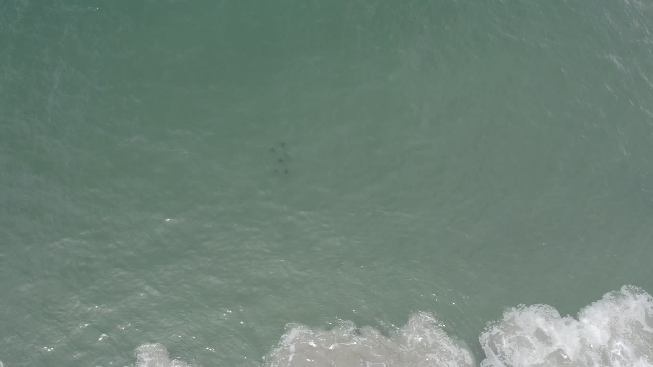 Overhead view of gray-green ocean water in Los Cabos, Mexico, with white wave foam entering along the lower edge and no visible people.