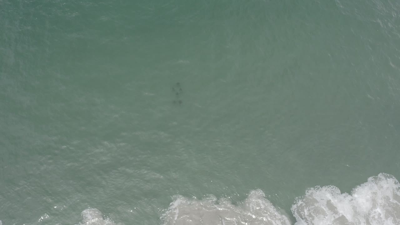 Top-down water texture with wave foam near the bottom right.