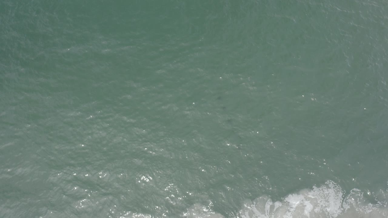 Overhead view of blue-green water in Los Cabos, Mexico, with faint dark fish beneath the surface, ripples across the frame, white froth at the lower edge, and no visible people.