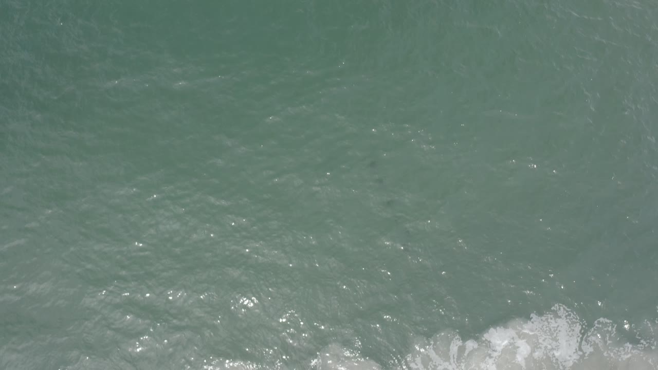 Pale blue-green Los Cabos water fills the frame, with small fish shadows scattered below the surface, soft ripple highlights, low white foam, and no visible people.