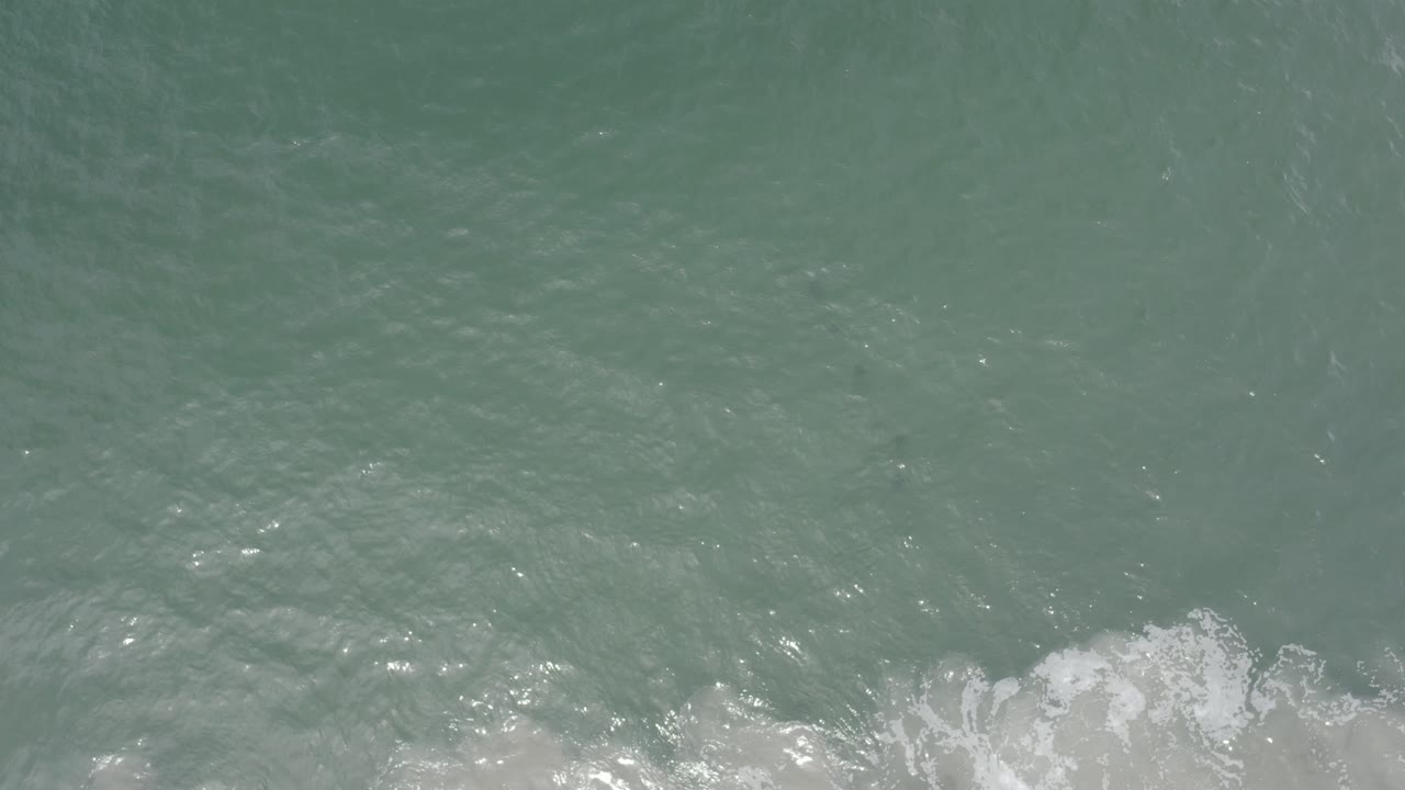 Rippling blue-green water with a small fish group faintly visible below and surf froth at bottom.