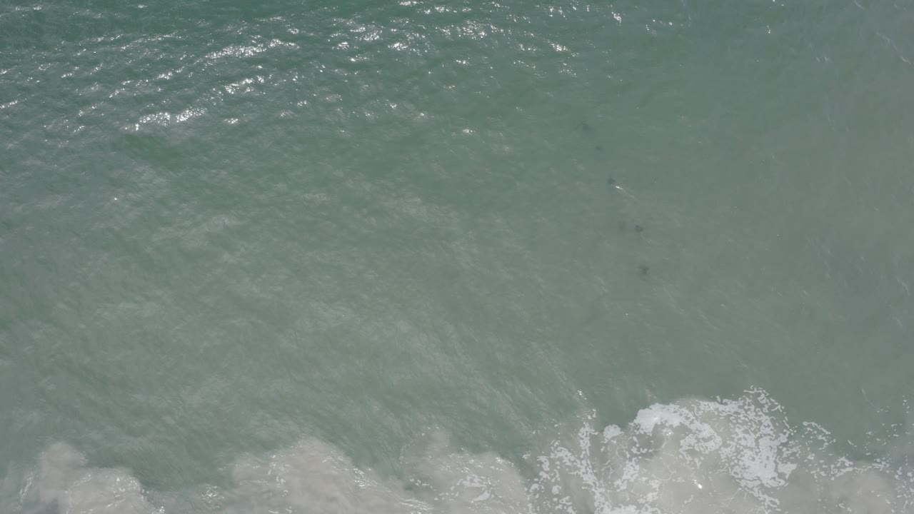 Overhead view of green ocean water in Los Cabos, Mexico, with a band of white surf foam along the lower edge and no visible people.