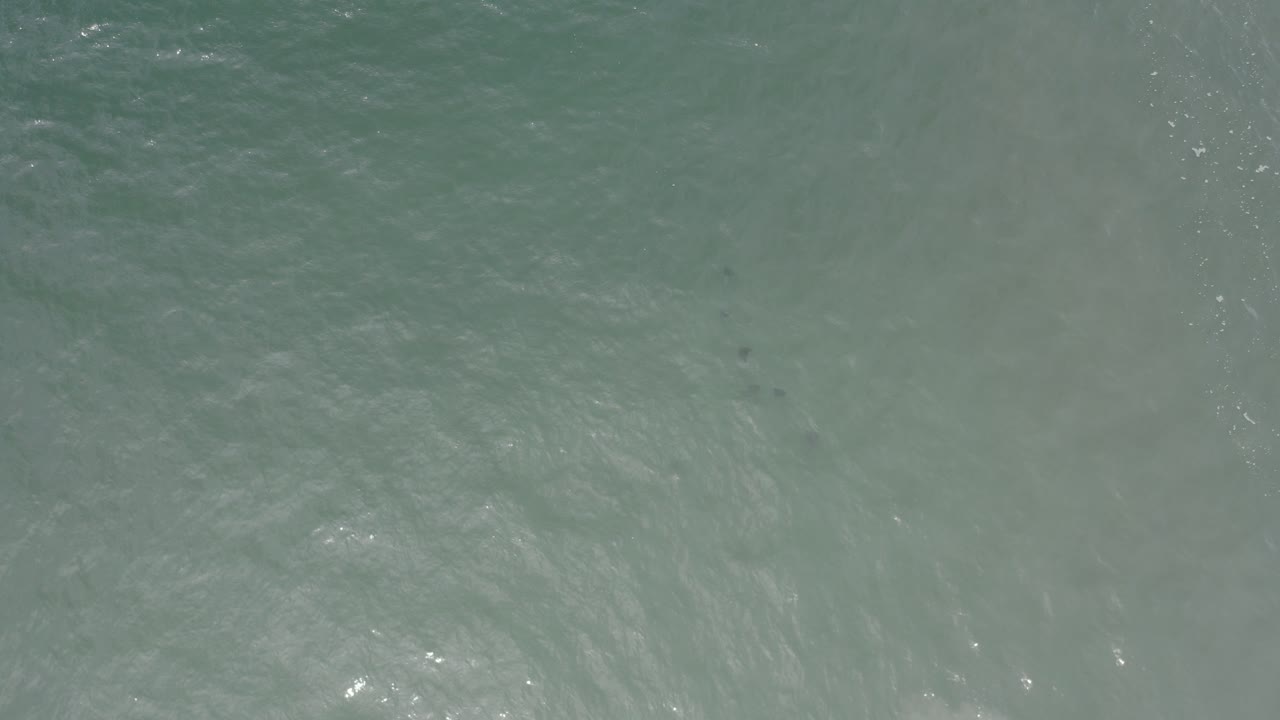 Overhead view of pale green ocean water with soft wave texture.