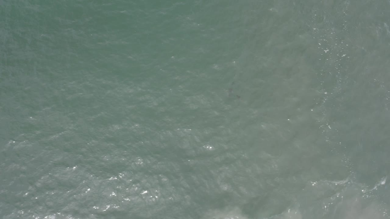 Dark rippled water with thin pale foam trails.