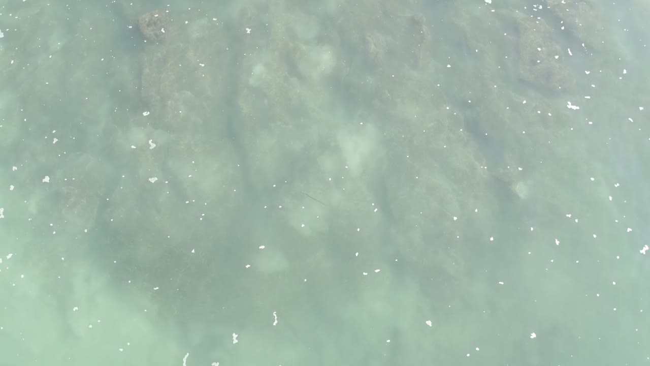 Overhead view of grayish blue-green water in Los Cabos, Mexico, with cloudy dirty patches, small foam flecks, sun highlights, and no visible people.