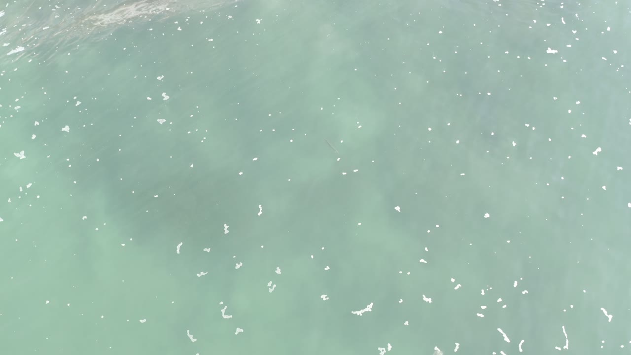 Overhead Los Cabos ocean frame with translucent gray-green water, clustered white foam specks near the center, and no visible people.