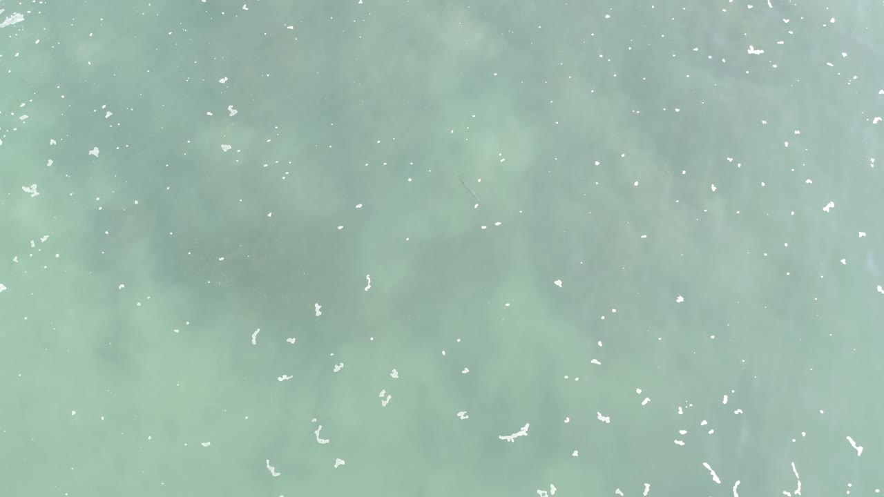 Gray-green ocean surface with faint darker patches under the water.