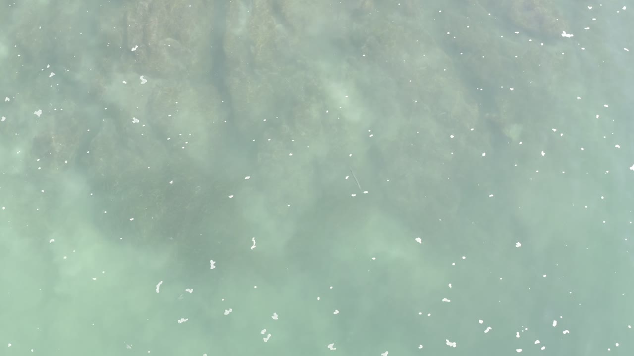 Pale turquoise water with scattered white foam flecks.