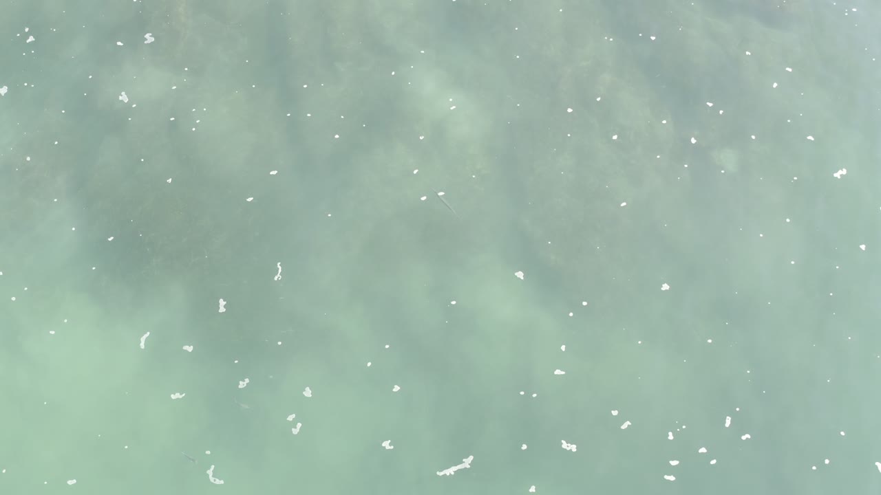 Top-down view of shallow turquoise ocean water in Los Cabos with small white foam flecks spread across the frame and no visible people.