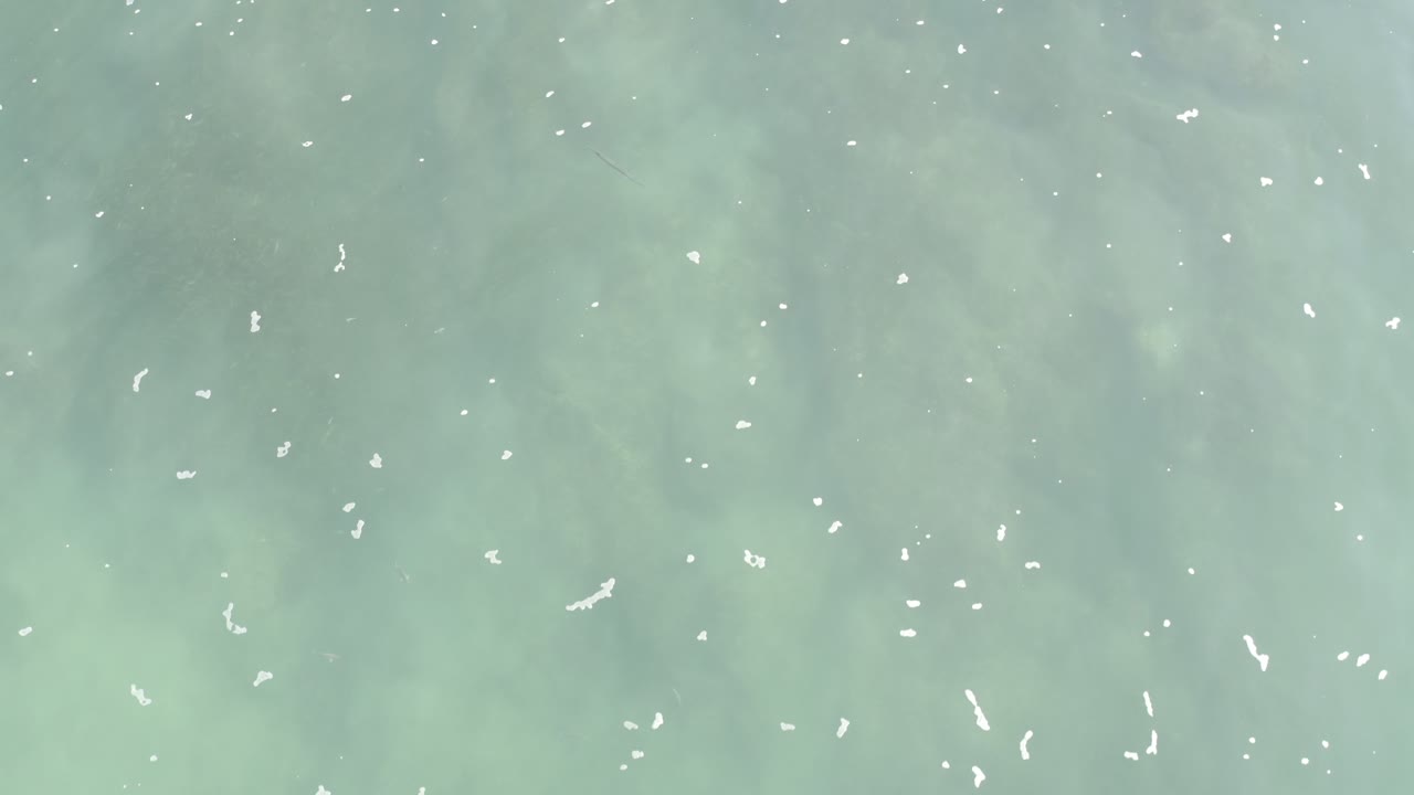 Pale blue-green ocean water with white surface bubbles.