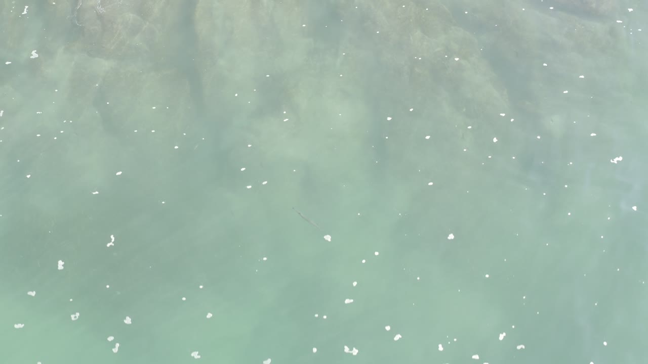 Overhead view of pale turquoise shallow water in Los Cabos, Mexico, with small white foam flecks spread across the frame and no visible people.