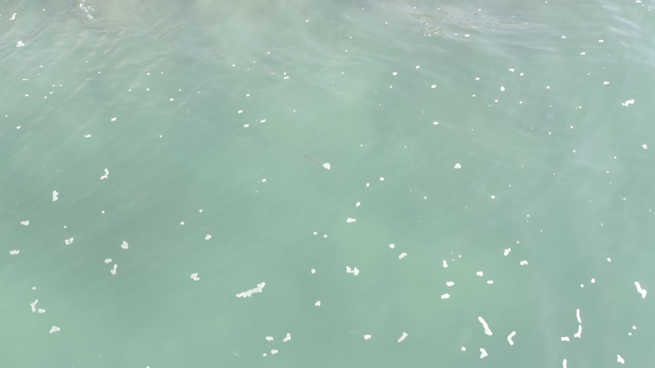 Cloudy shallow surf with white foam fragments